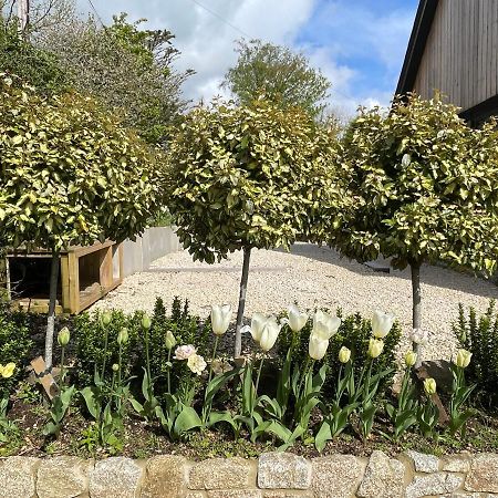 Cedar House Guest House Ilsington Exterior photo