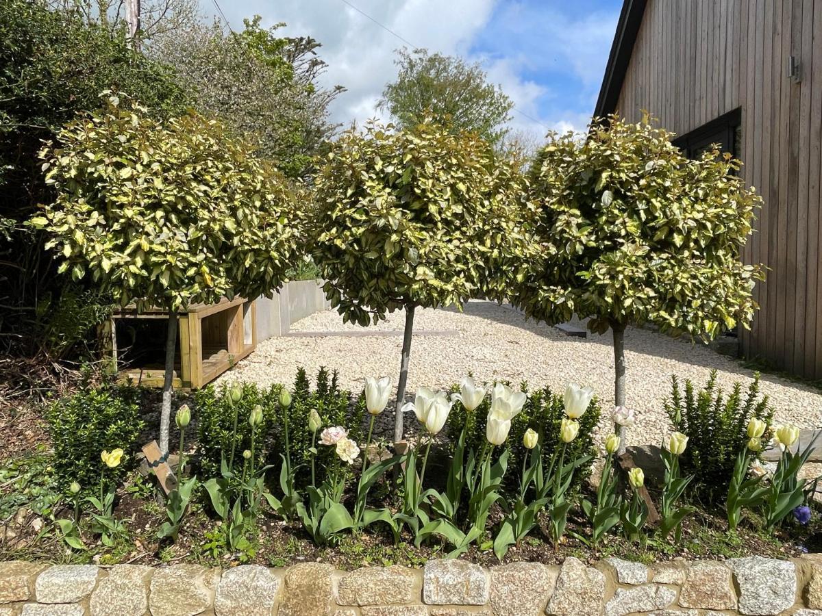 Cedar House Guest House Ilsington Exterior photo